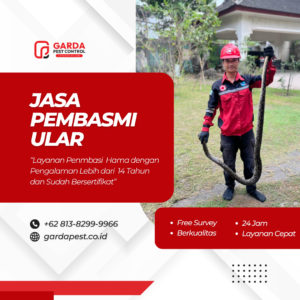 Jasa Tangkap Ular Terdekat