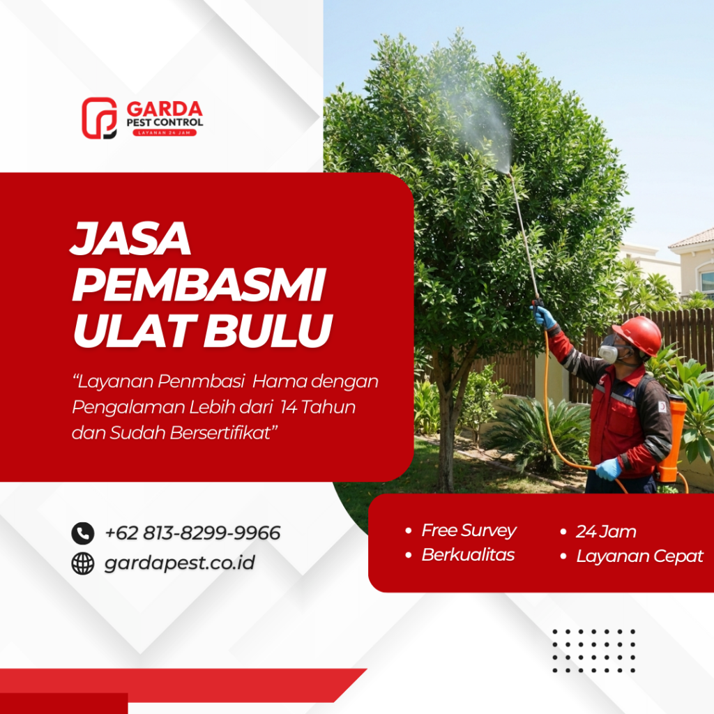 Jasa Pembasmi Ulat Bulu di Pohon