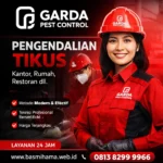 Jasa Pembasmi Tikus Jakarta Sudah Pengalaman Lama