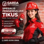 Jasa Pembasmi Tikus Bali Hasil Terbukti