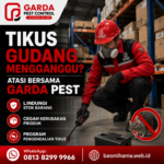 Jasa Pembasmi Tikus Gudang dan Pabrik Klaten