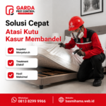 Jasa Pembasmi Kutu Kasur Klaten: Penanganan Tuntas Sampai Telurnya